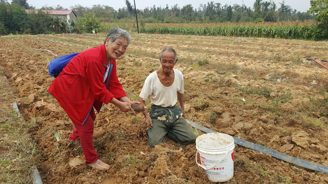 Qg Life 城中館 寵物親子釣魚人民宿 Jincheng Exteriör bild