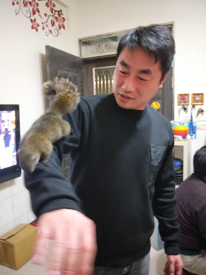 Qg Life 城中館 寵物親子釣魚人民宿 Jincheng Exteriör bild